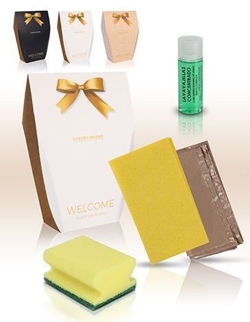 Muestra Kit de limpieza Luxury 1